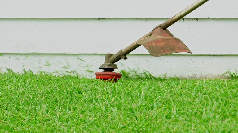 Soil Testing and Treatment in Carrollton, KY