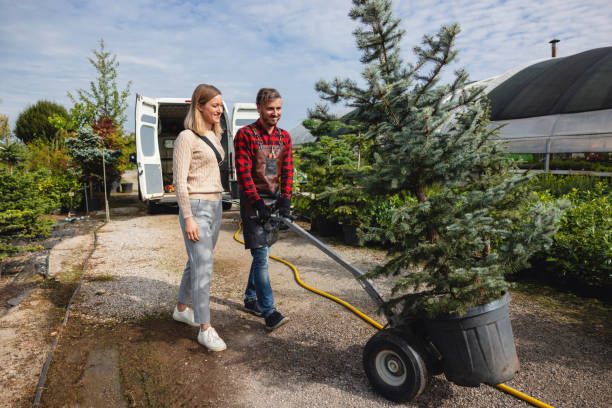 Reliable Carrollton, KY Tree Services Solutions
